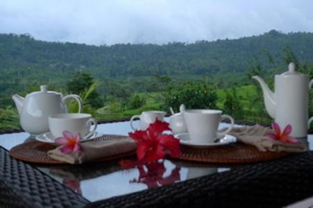 Villa Shantiasa Bali Сидемен Экстерьер фото