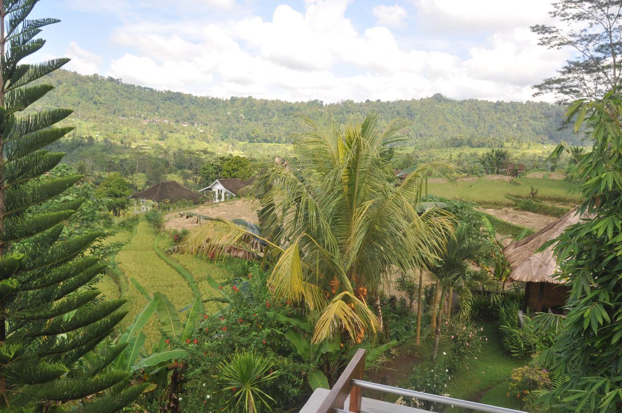 Villa Shantiasa Bali Сидемен Экстерьер фото